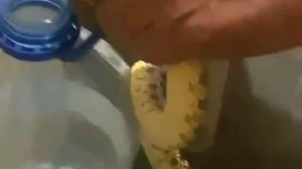 G[A]